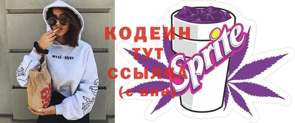 амф Переславль-Залесский
