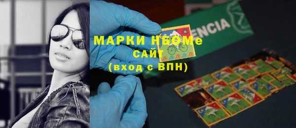 индика Семёнов