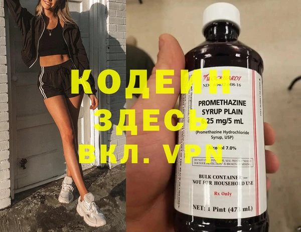 дмт Нестеровская