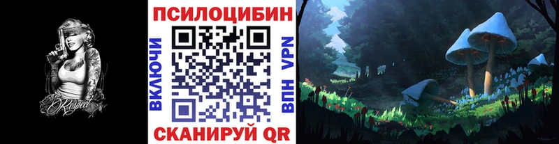 что такое   Багратионовск  Псилоцибиновые грибы GOLDEN TEACHER 